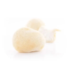 hericium.1646628311