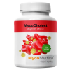 mycochlest vypis 2.1646628311