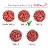 goji kustovnice cinska wolfberry 1 kg