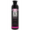 Champion Šampon pro Yorkšíry 250 ml