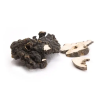 polyporus.1646628311