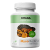 chaga vegan.1646628311