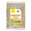 slunecnicove seminko wolfberry bio 500 g