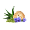 mycogastro 2.1646628311