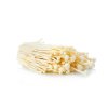 enoki.3