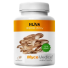 hliva vypis 2.1646628311