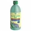 stava aloe vera s boruvkami 1000 ml esi