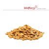 Wolfberry Meruňková jádra sladká 100 g