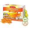 cordyceps 60 suroviny web 1280px