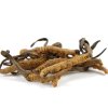 Superionherbs Cordyceps Sinensis Extrakt 90 kapslí