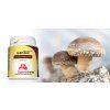 Superionherbs Shiitake Houzevnatec jedly eshop 1024x492
