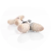 coprinus 2.1646628311