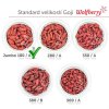 Wolfberry Goji Jumbo Extra Edition 250 g