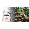 wild coriolus superionherbs 1024x539