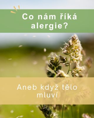 Alergie není jen to, že „venku létá pyl“. 🪻 V praxi často vidíme, že do toho promlouvá i trávení, stres a celková zátěž, a...