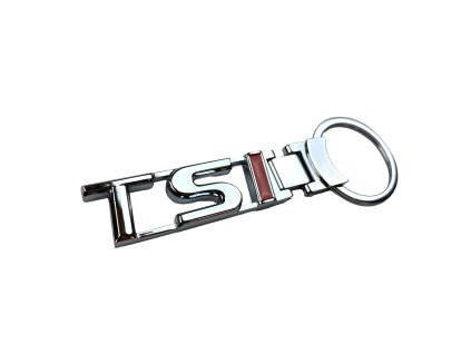 TSI keychain