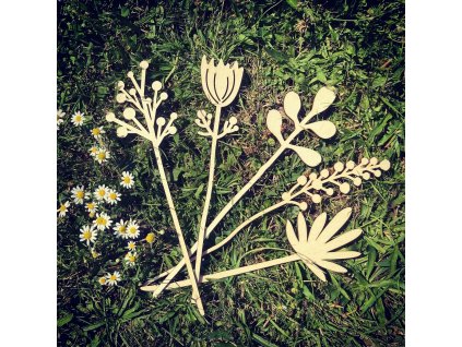 A90D610E 1747 45D7 B4E6 2D56A5F71837