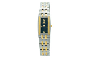  Dámské společenské Quartz hodinky DRESS titanium L047TiGB vyrobené z Titania, pevného a velmi lehkého antialergického titanu
