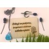 Návrh bez názvu (49)