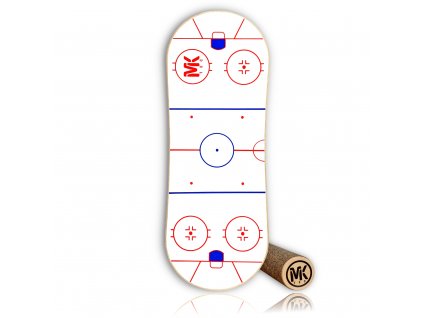 Hockey White Color Top View