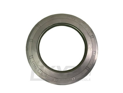 Gufero 73,5x110x10 G