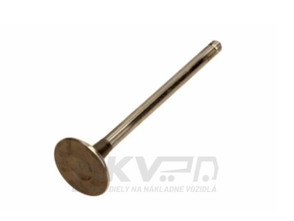 Ventil výfukový Q50 MTS, 312020260