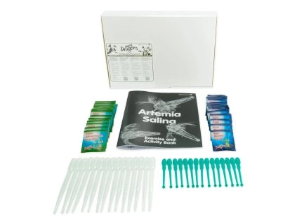 Foto Libro de actividades bodegon 00