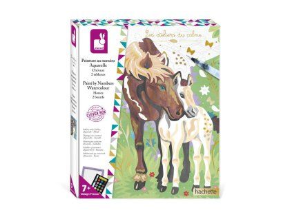 4659 atelier sada maxi malovanie podla cisel kone