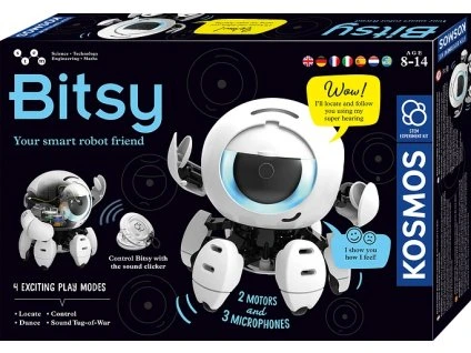 r68419f69bee30 617424 bitsy int