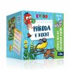 5253 kvido priroda v kocke
