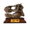 8014 1 lovci lebek tyrannosaurus