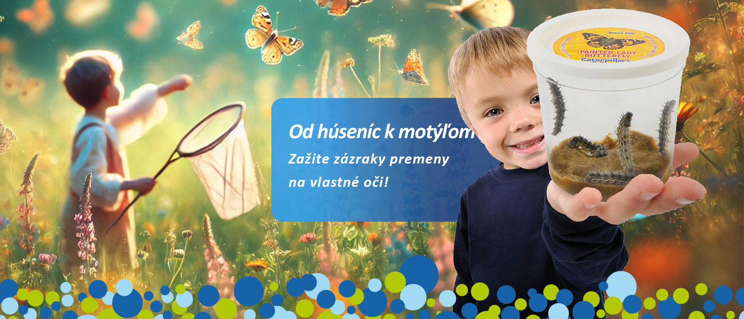 Motýlia záhrada