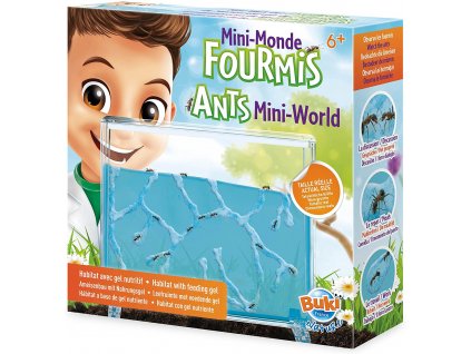 Akvárium pre mravce