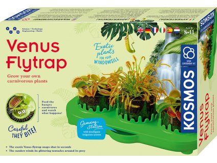 u69da6a4e5b2e2 616977 venus flytrap front