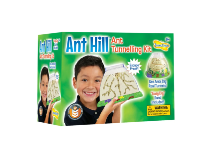 869e24f3e6b37c ant hill 1