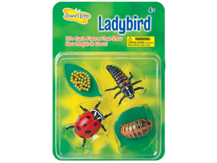 h69e4a59d81b2f ladybird in packaging
