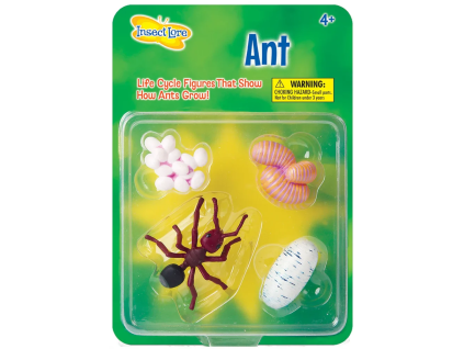 j69e4aa9d9eb43 ant in packaging