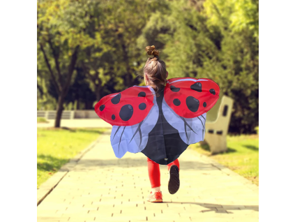 b69e4b7311678f ladybird wings