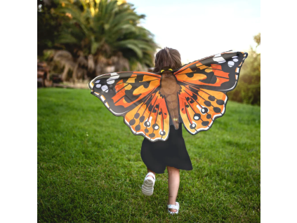 969e4bb5312cf3 wings main