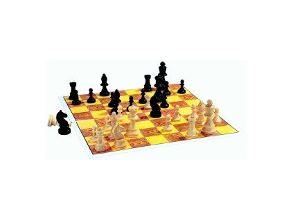 11666.chess