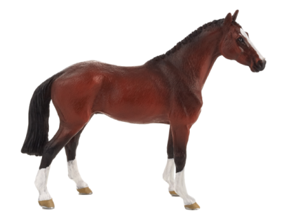 387294 Dutch Warmblood 540x444