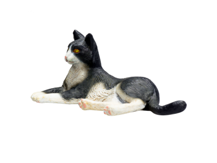 387367 Cat Lying Black and White 1 540x540