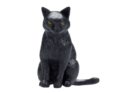 387372 Cat Sitting Black 1 540x540