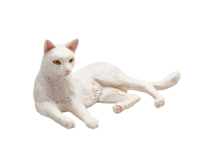 387368 Cat Lying White 1 540x540