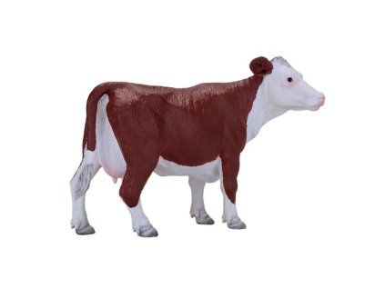 MJ381074 Hereford krava H