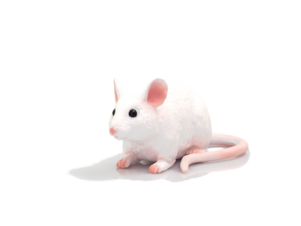 387235 Edit 540x360