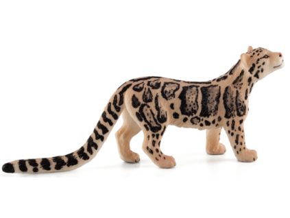 387172 CLOUDED LEOPARD 540x254%20%281%29