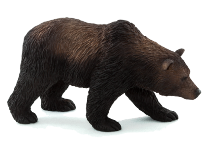 grizzly bear e1431677183675 540x331