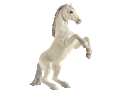 387351 Mustang rearing White 392x540