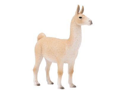 387391.animal